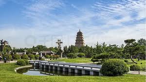 今年会jinnianhui 宁波城市绿化主要有哪些工作